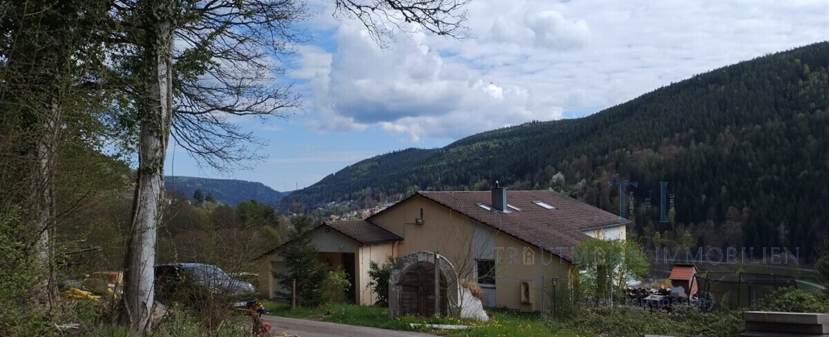 Immobilienbild