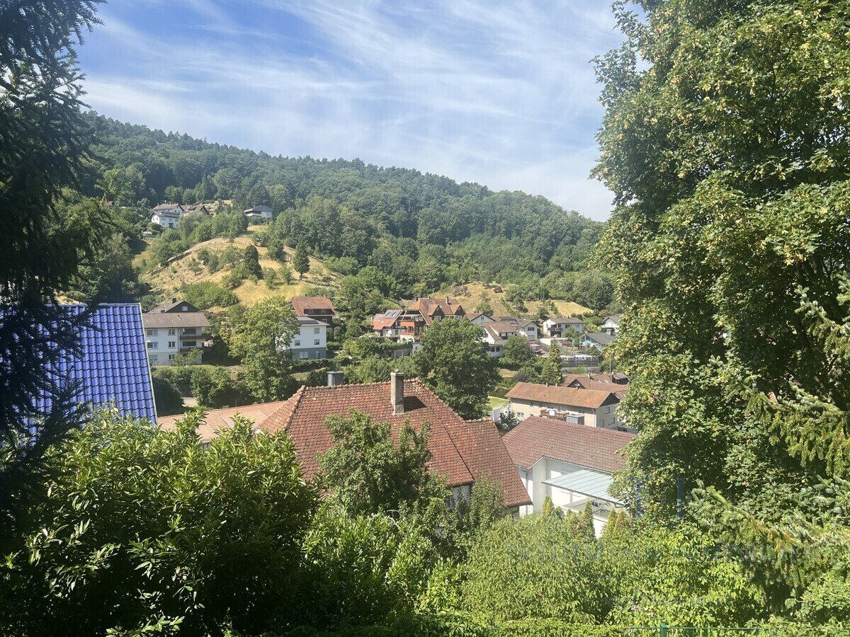 Ausblick