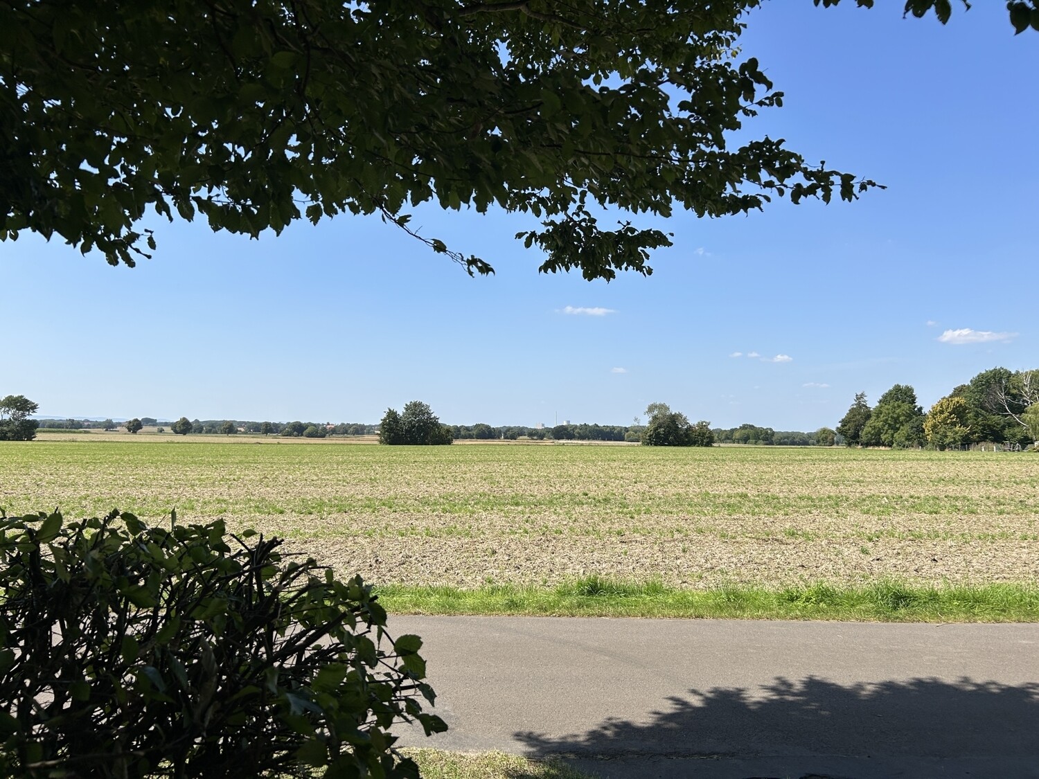 Blick in die Natur
