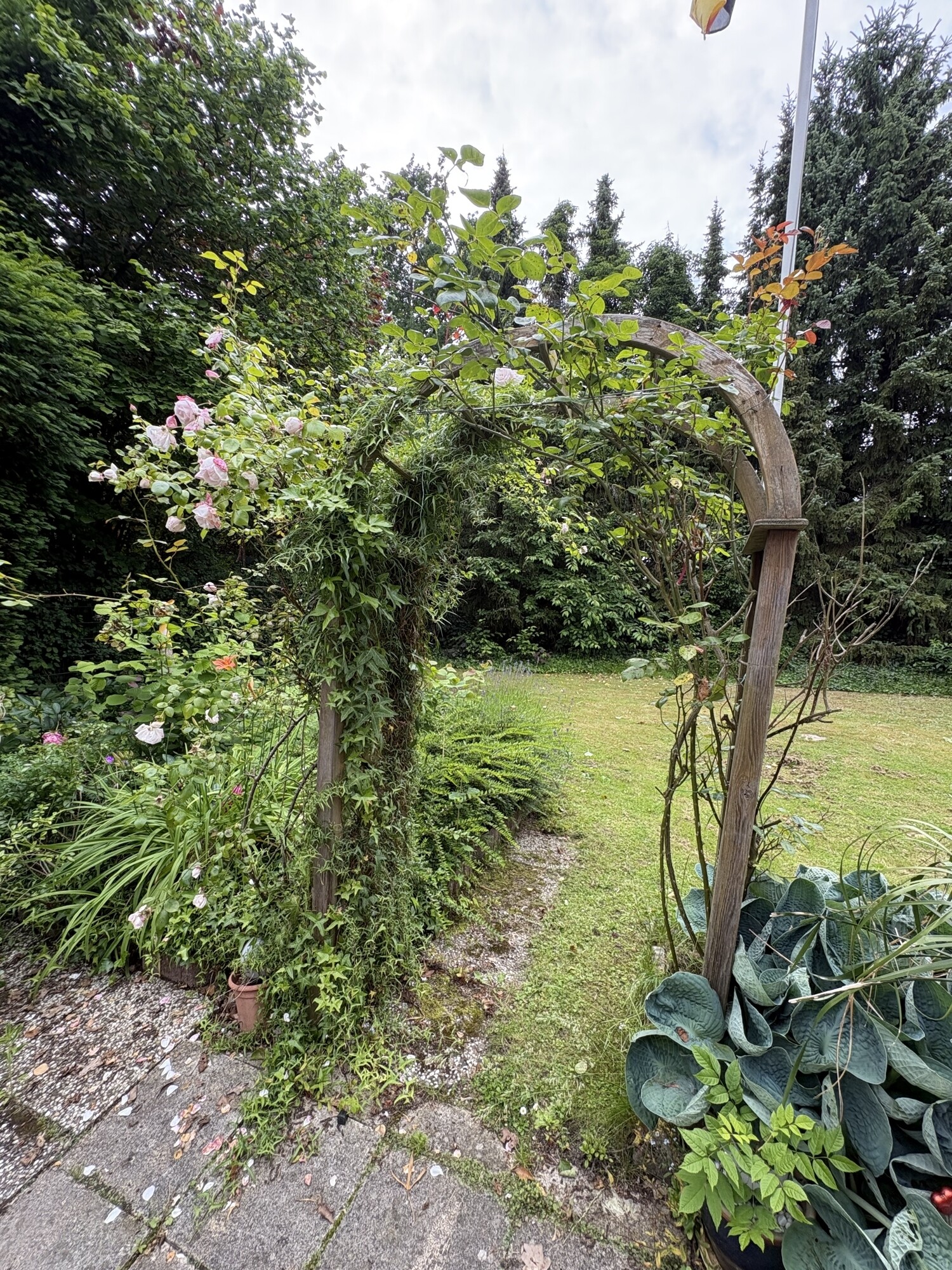 Immobilienbild