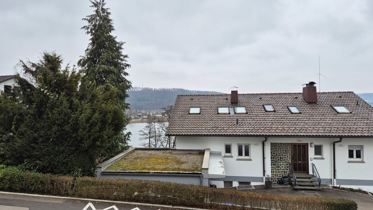 Rheinsicht