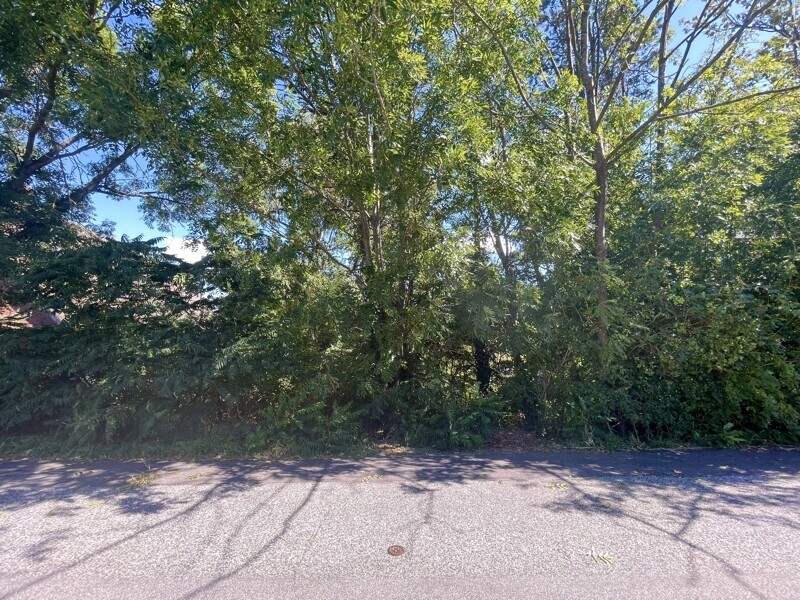 Baugrundstück von der Straße aus