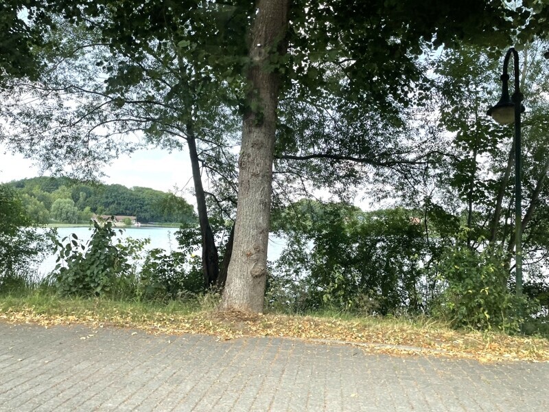 Reinfelder Herrenteich 