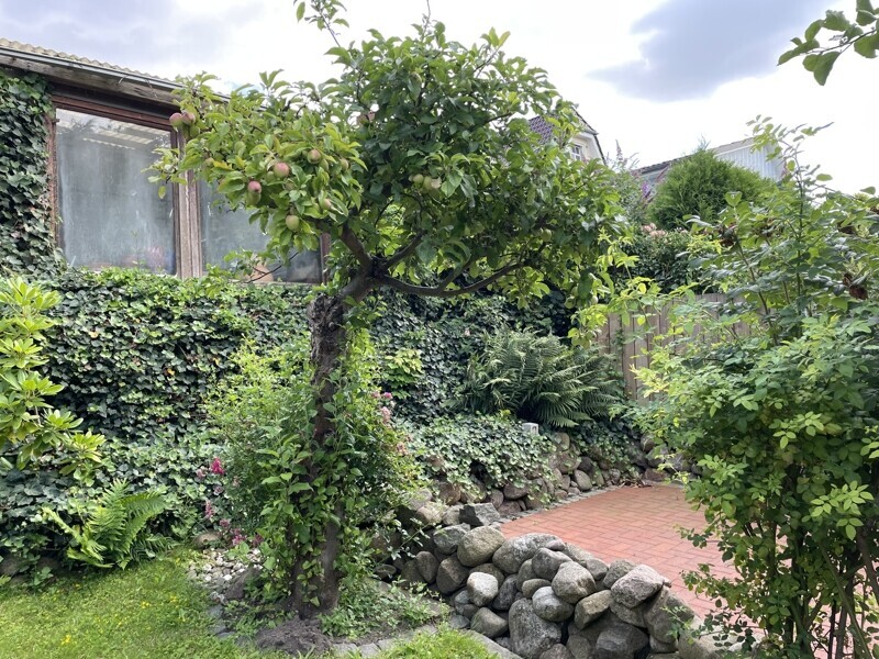 angelegter Garten