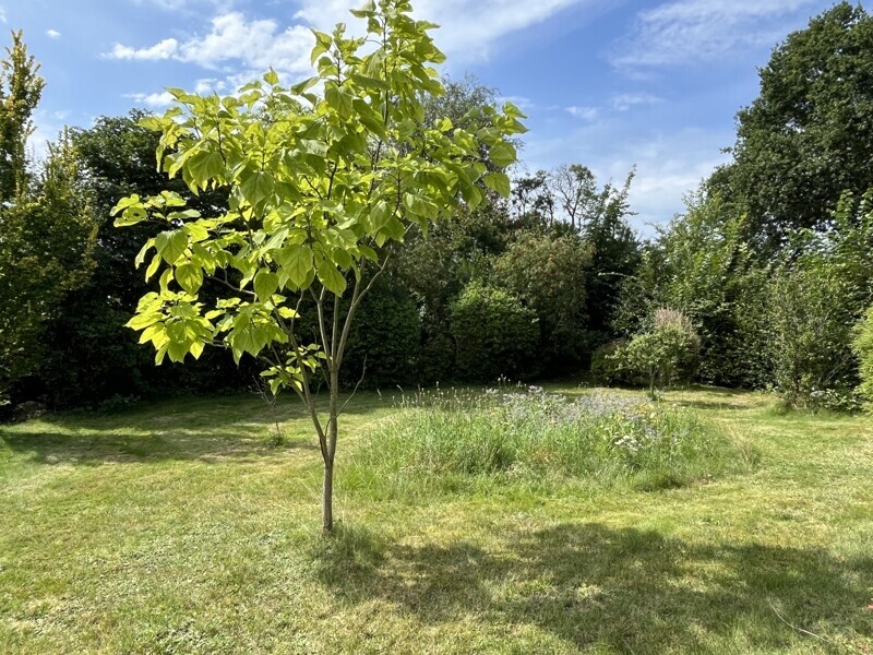 Garten Ansicht II