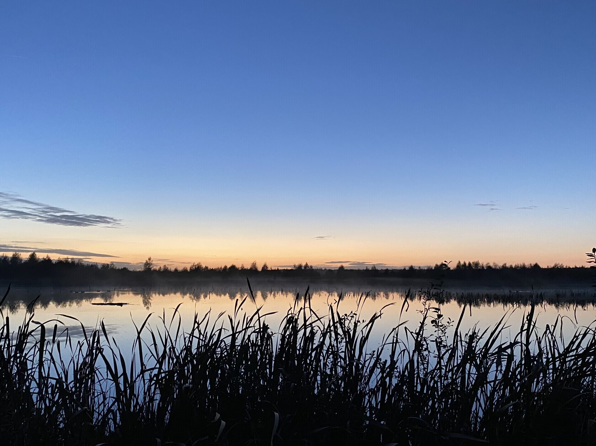 Himmelmoor Sonnenaufgang