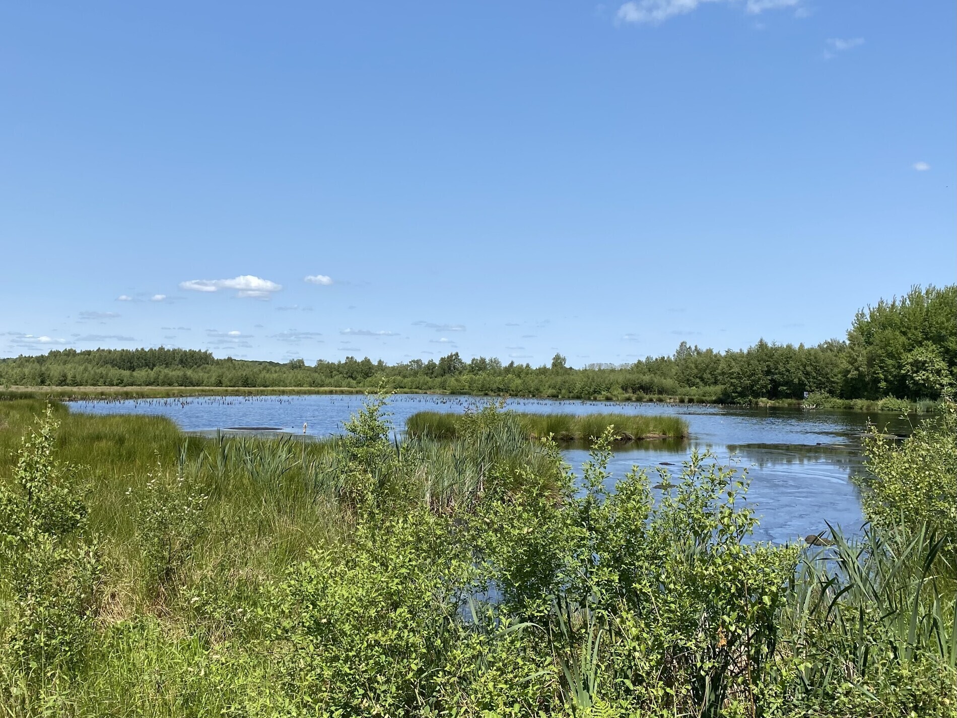 Himmelmoor