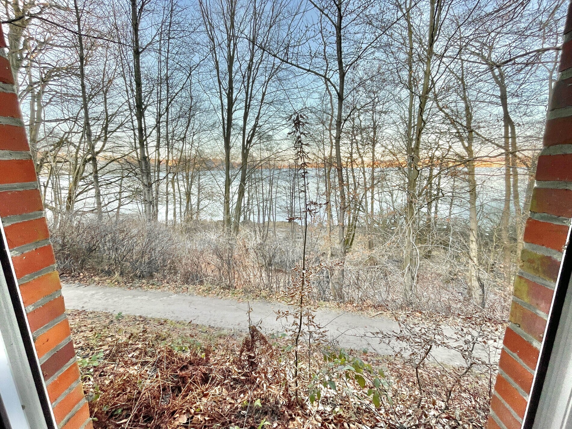 Blick auf den angrenzenden Wanderweg