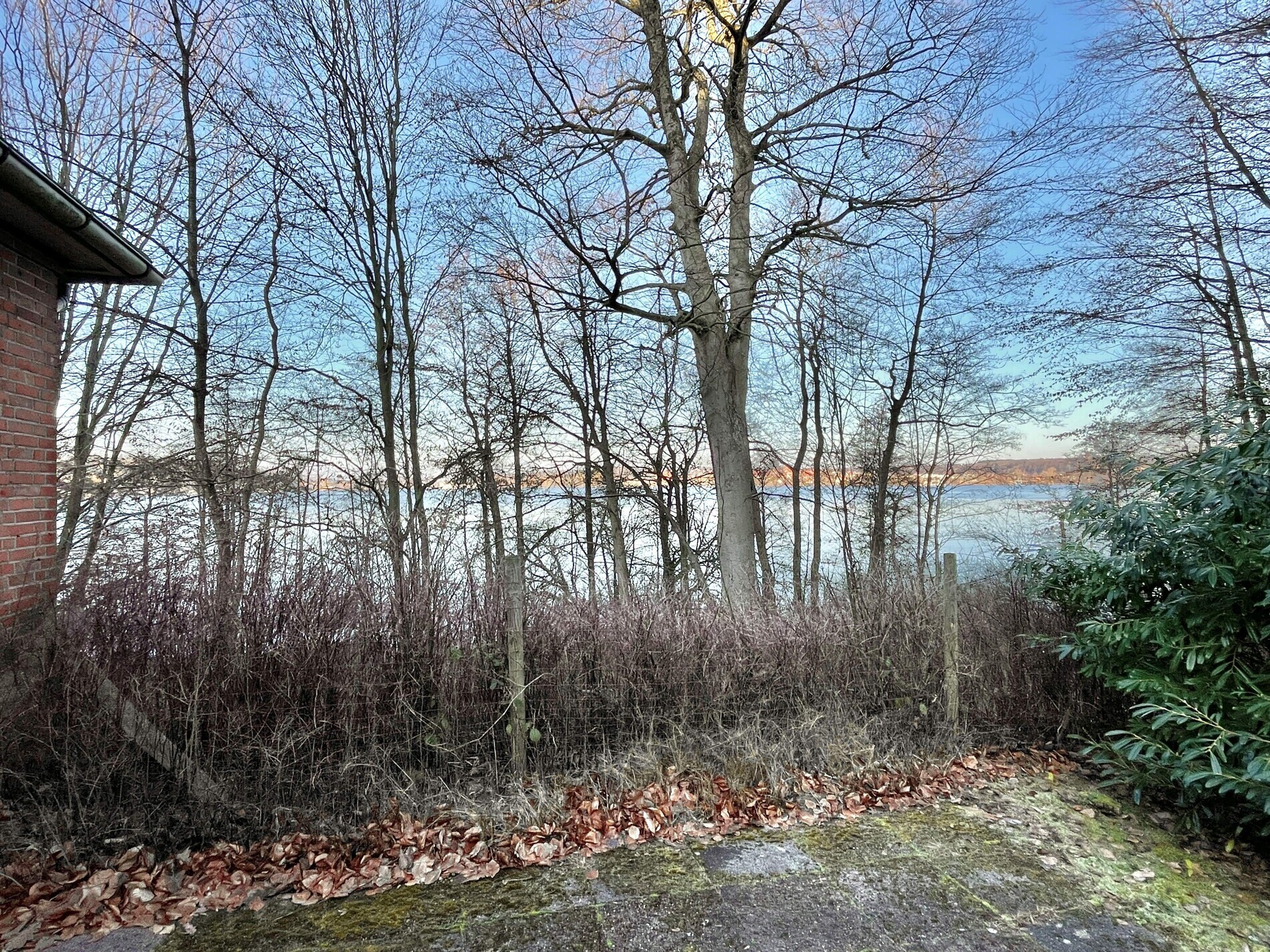 Seeblick