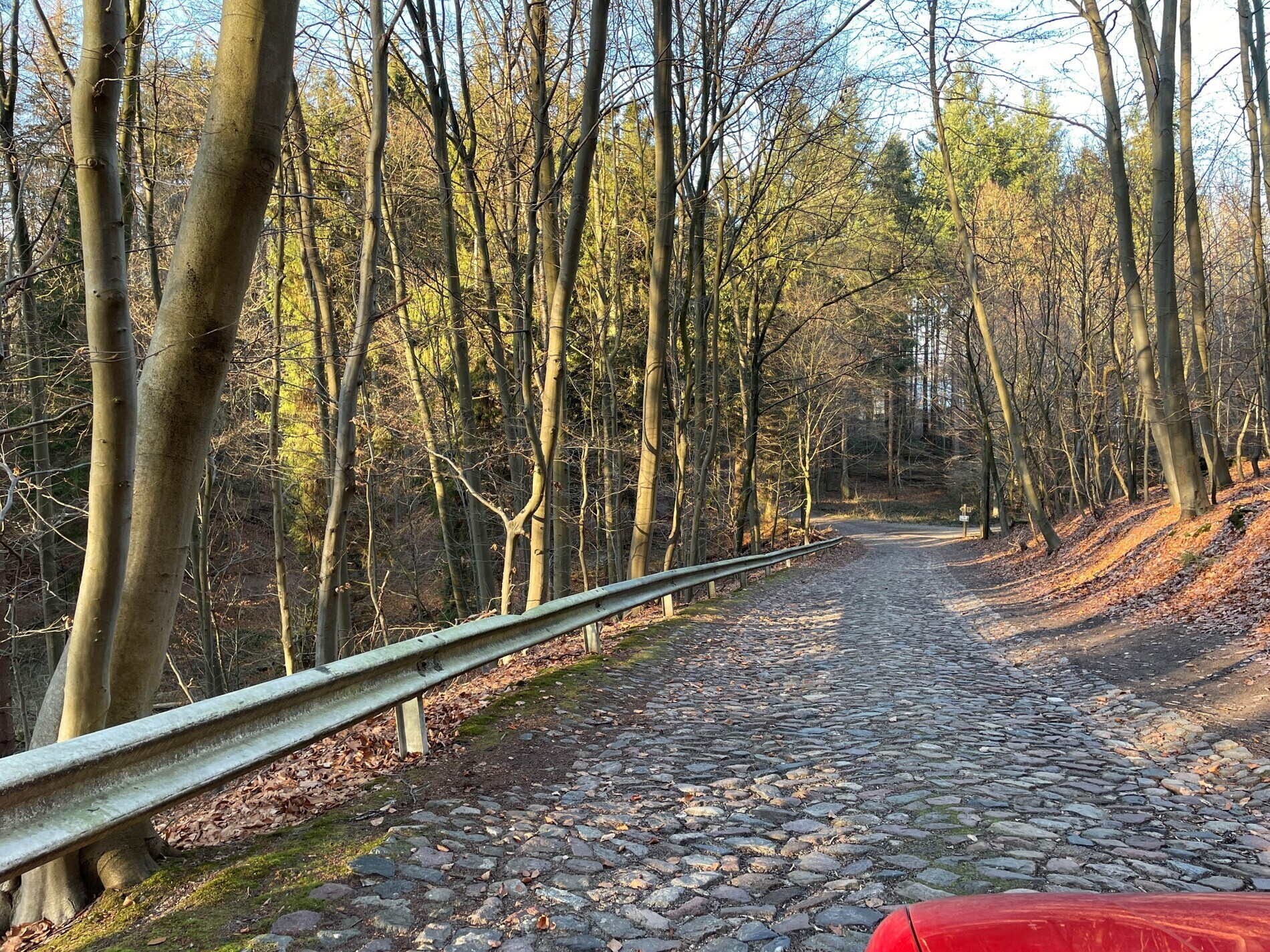 Zuwegung durch den Wald
