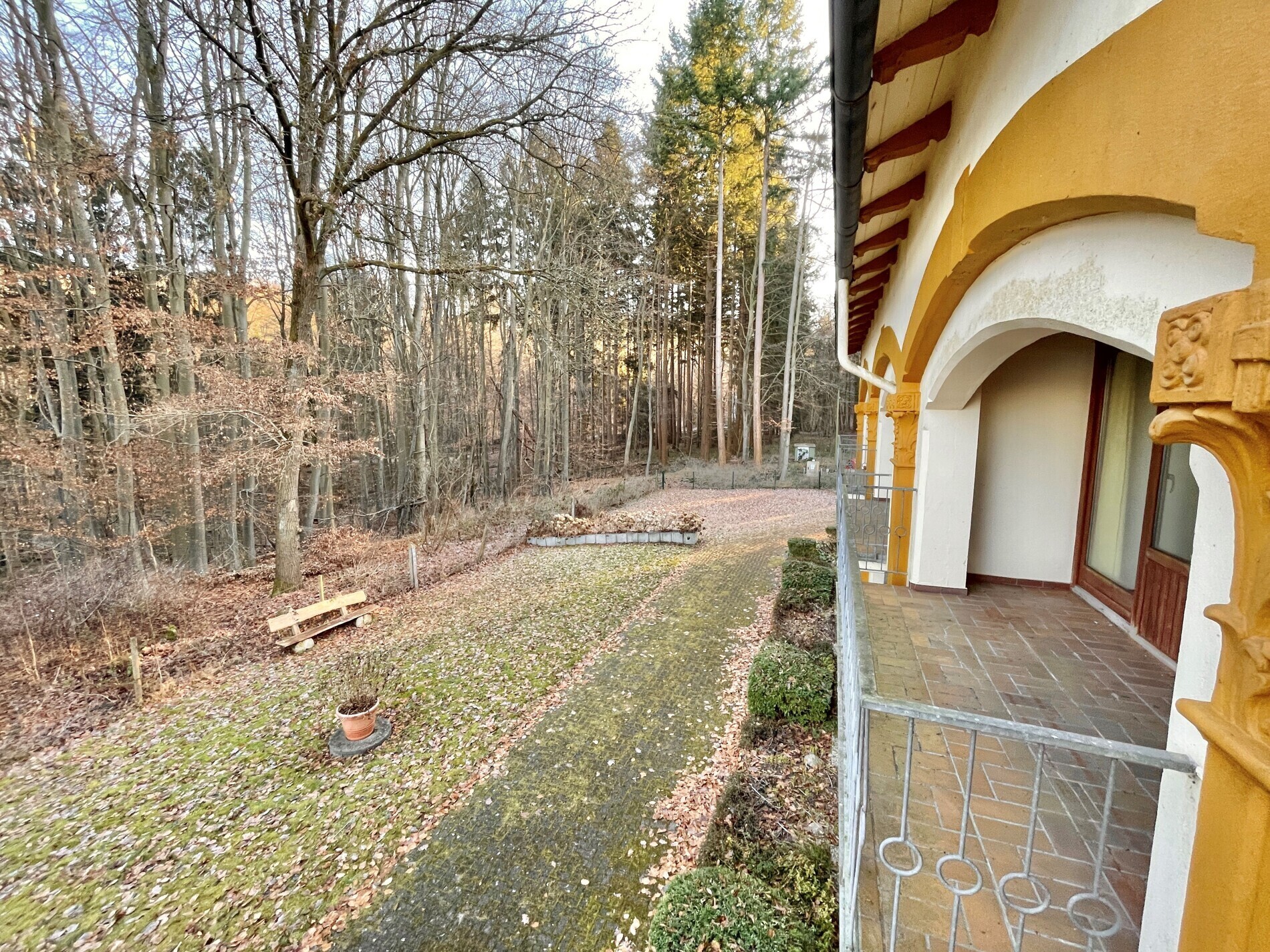 Ausblick ins Grüne