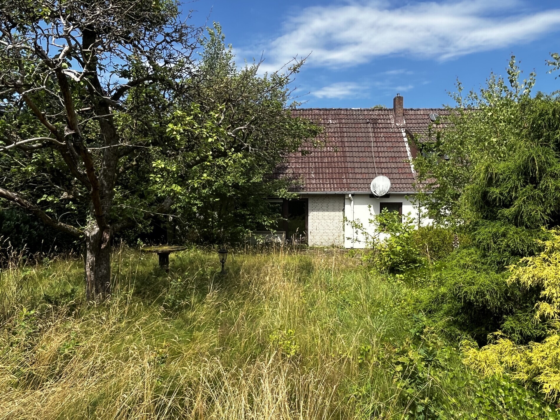 Rückansicht