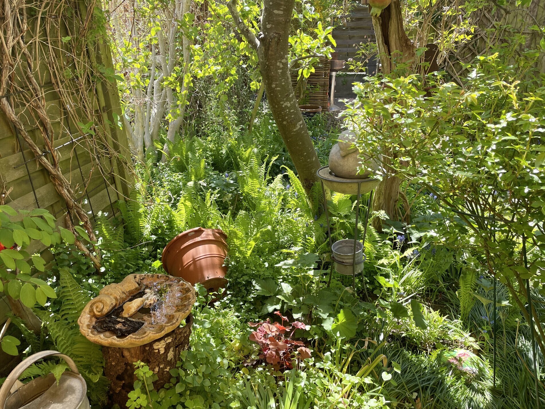 Blick von der Terrasse