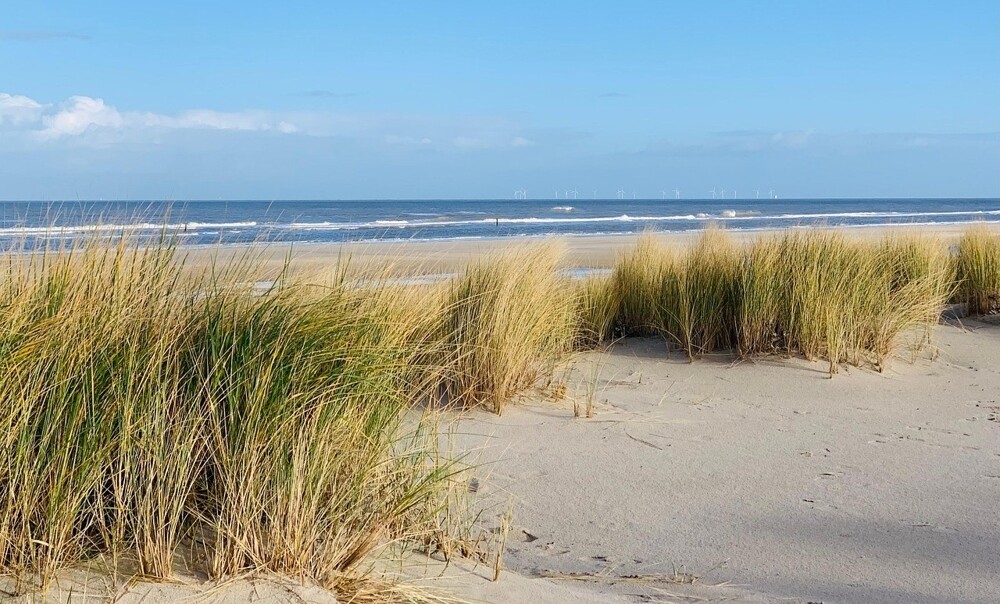 Wangerooge Dünen
