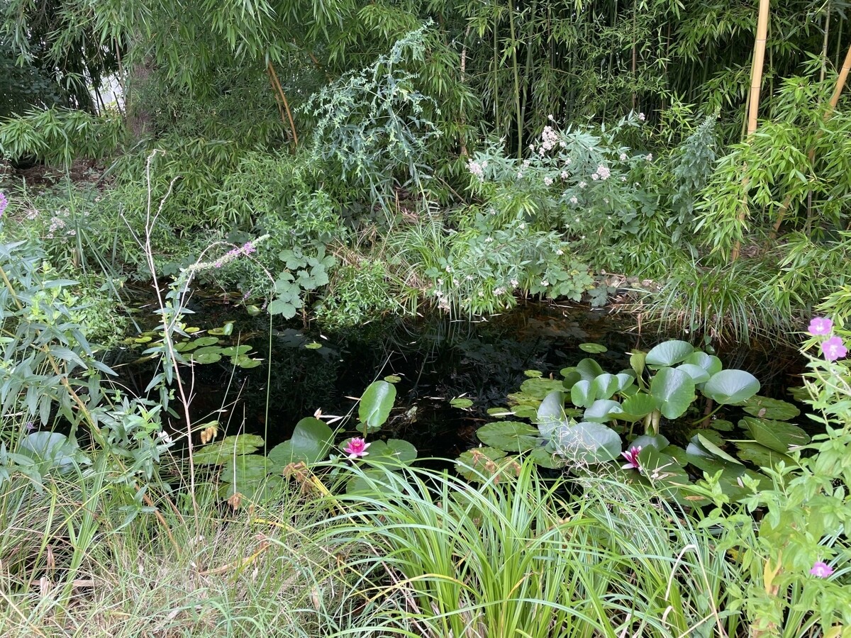 Grundstück 