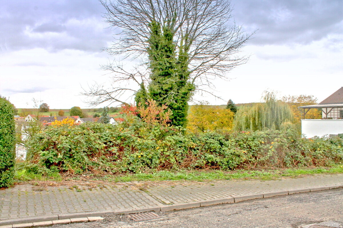 Ansicht
