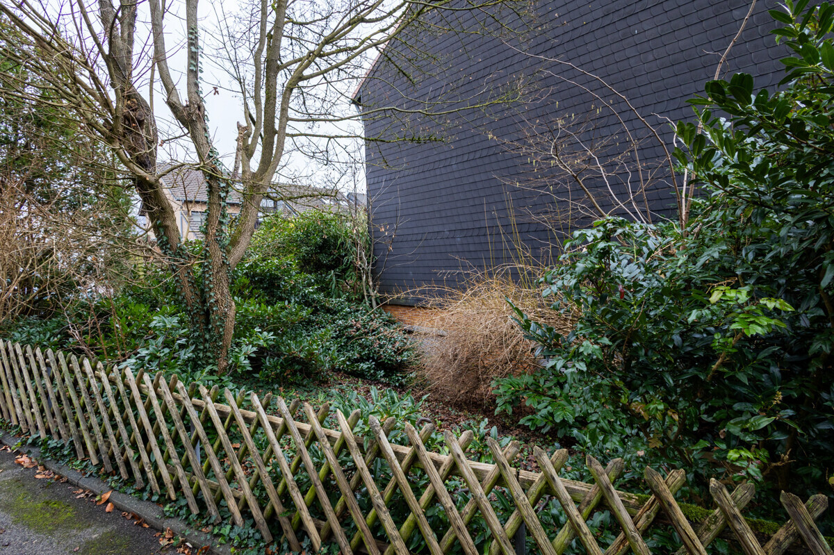 seitlicher Garten