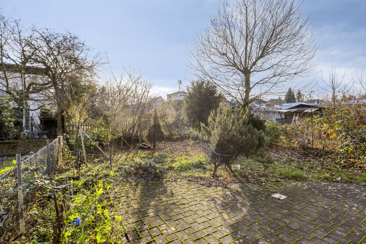Blick in den Garten
