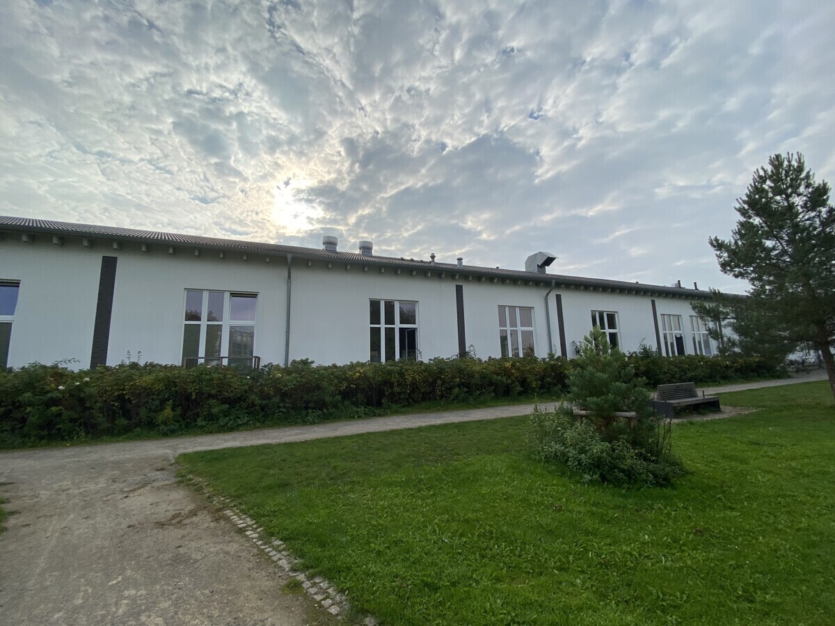 Rückseite