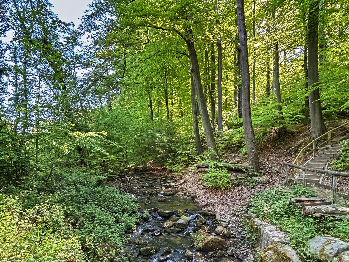 Umgebung