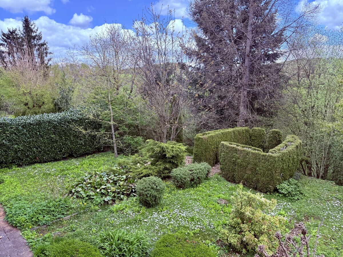 Blick in den Garten