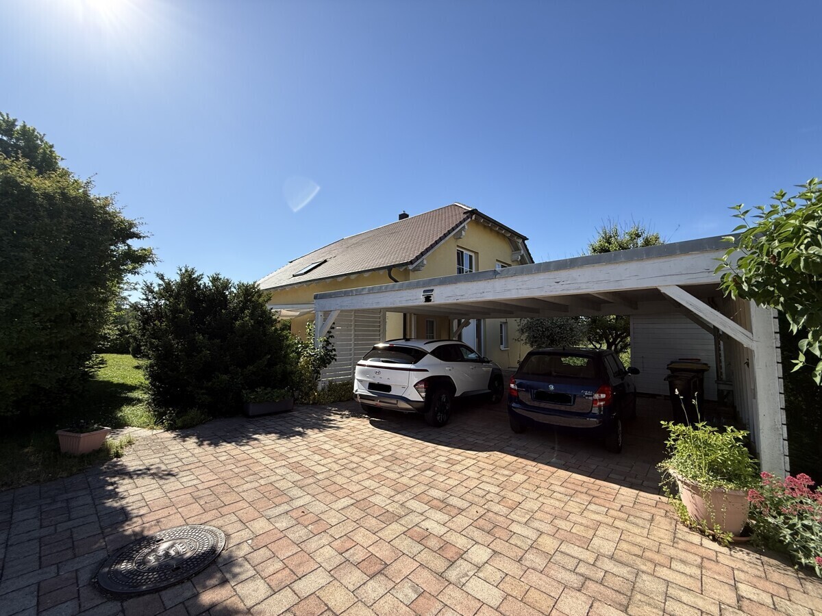 Einfahrt mit Carport