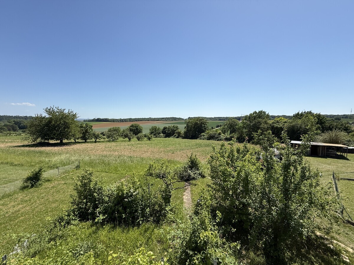 Aussicht Feldrandlage