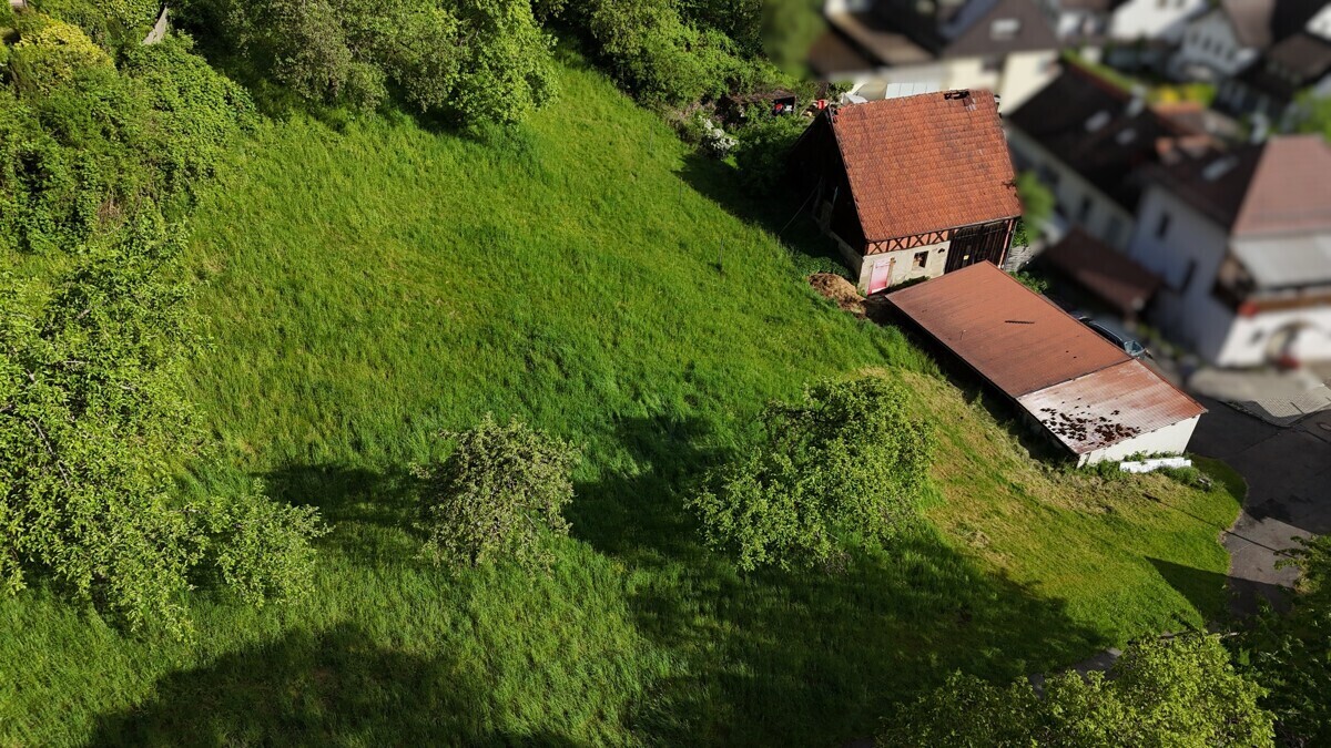 Immobilienbild