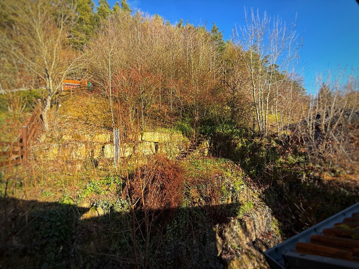 Grundstück