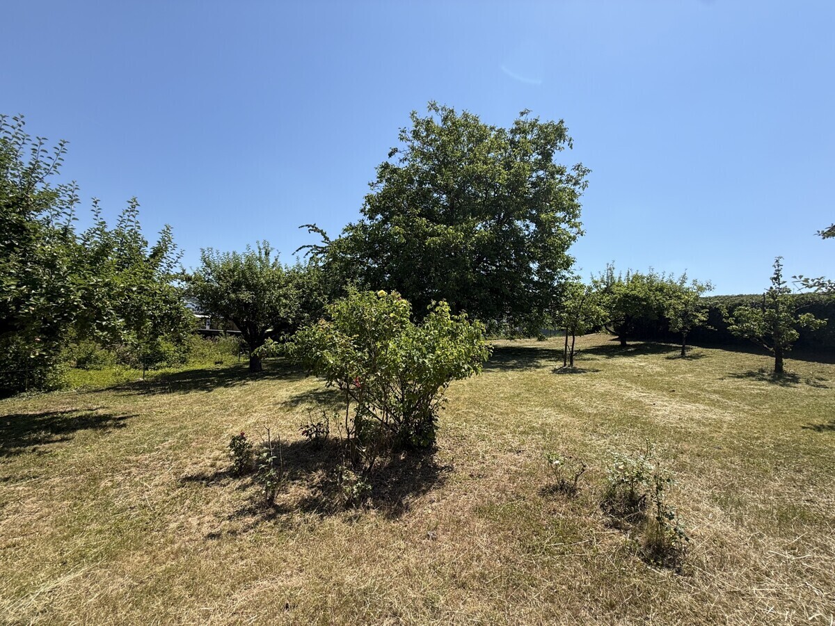Garten3