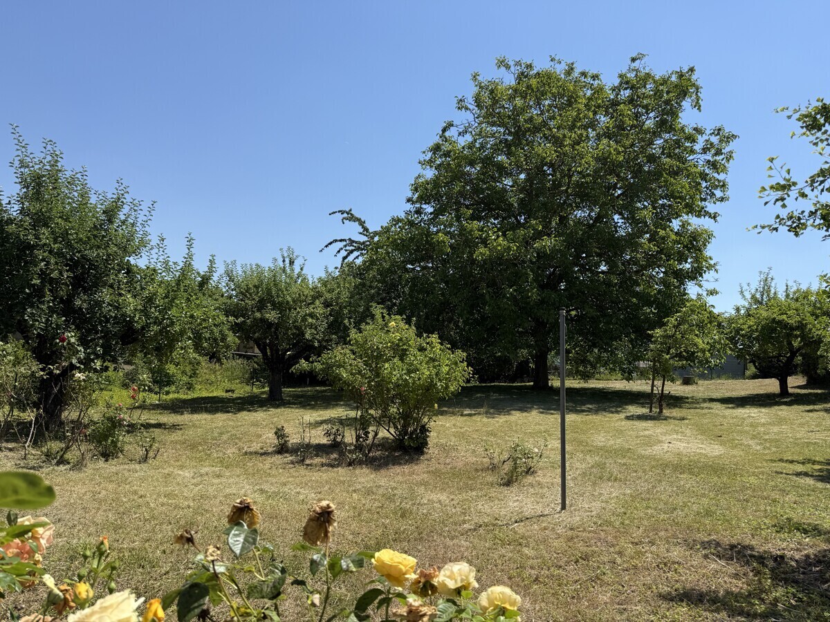 Garten2
