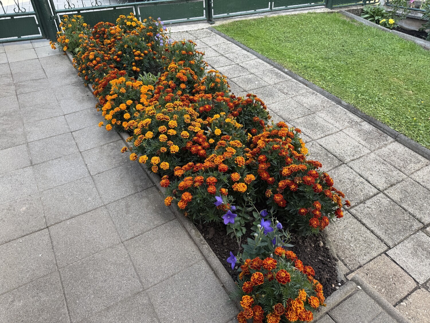 Vorgarten