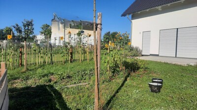 Immobilienbild