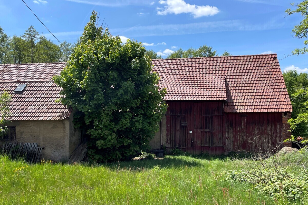 Immobilienbild