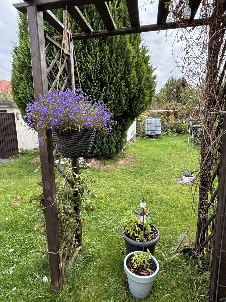 Immobilienbild