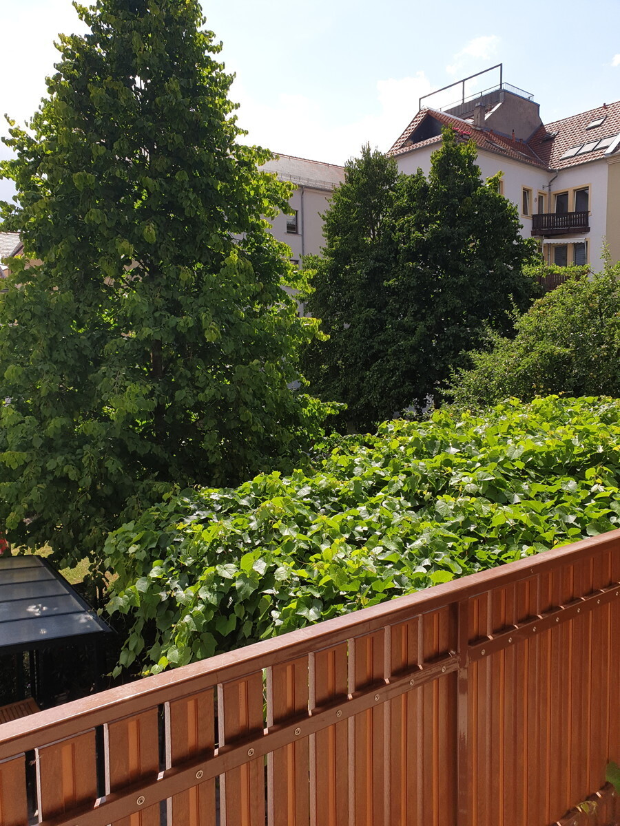 Blick in den Hinterhof