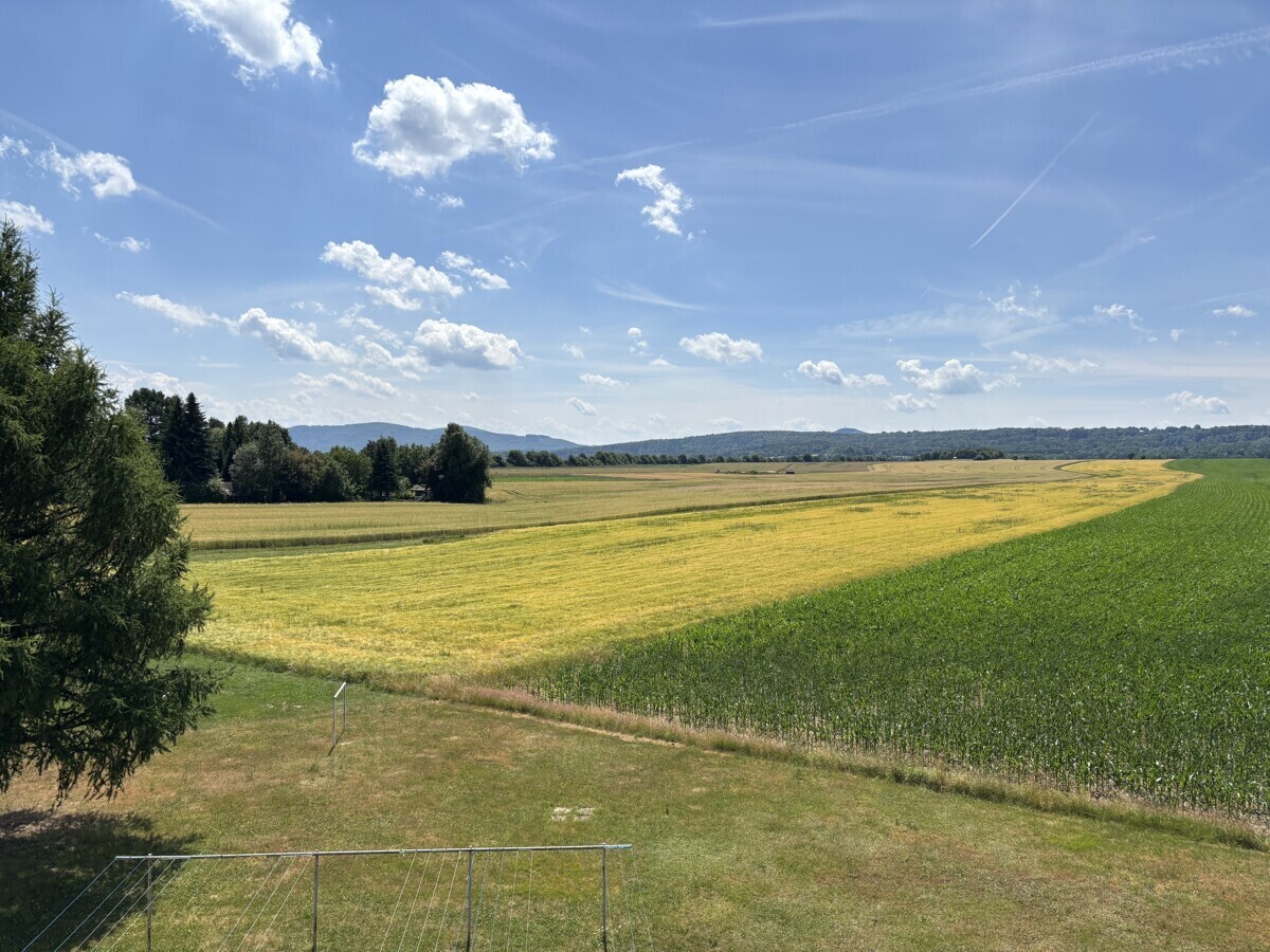Blick vom Balkon