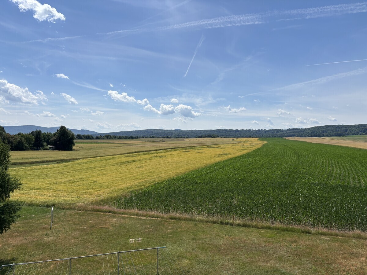 Immobilienbild