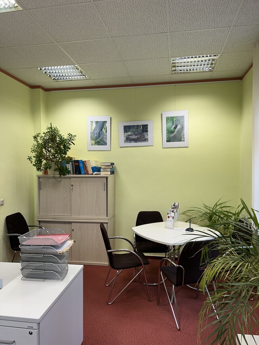 Immobilienbild