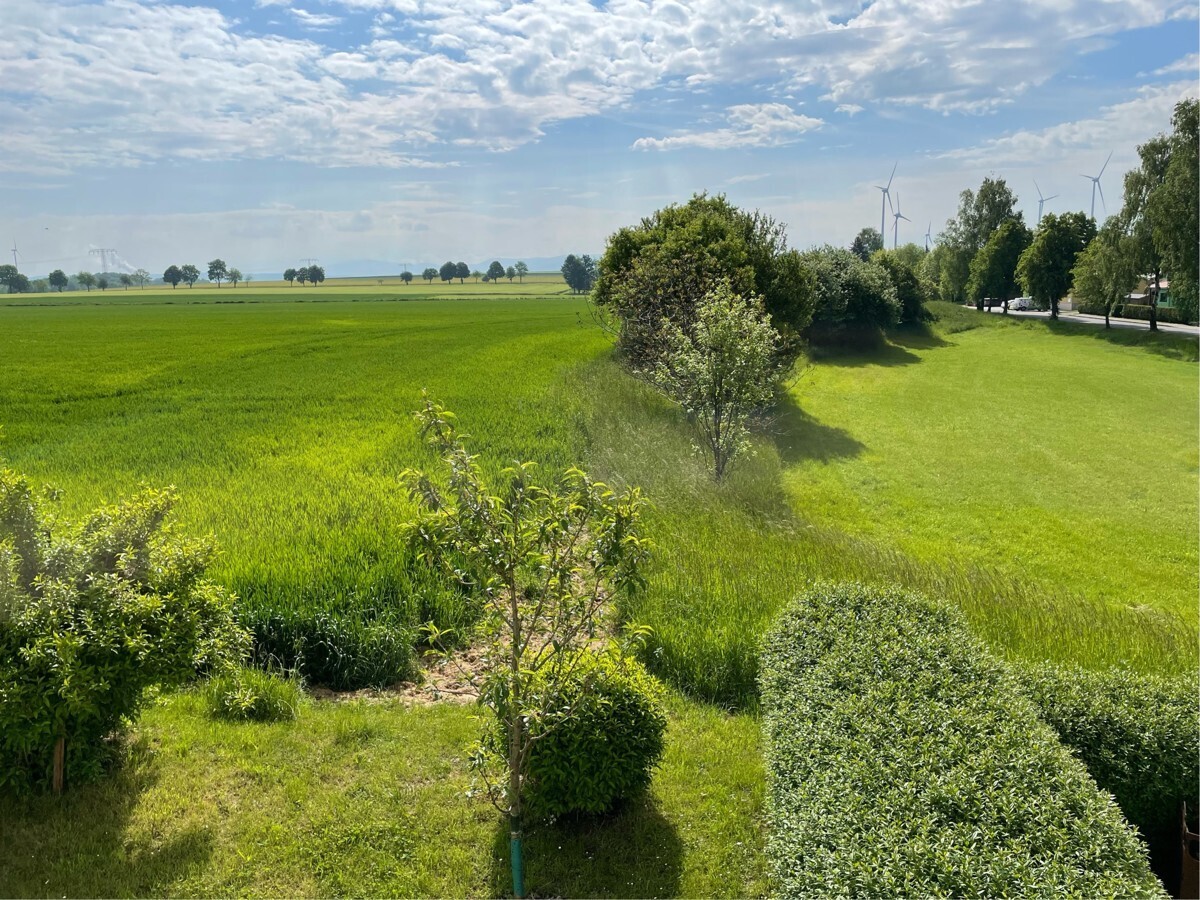 Ausblick1