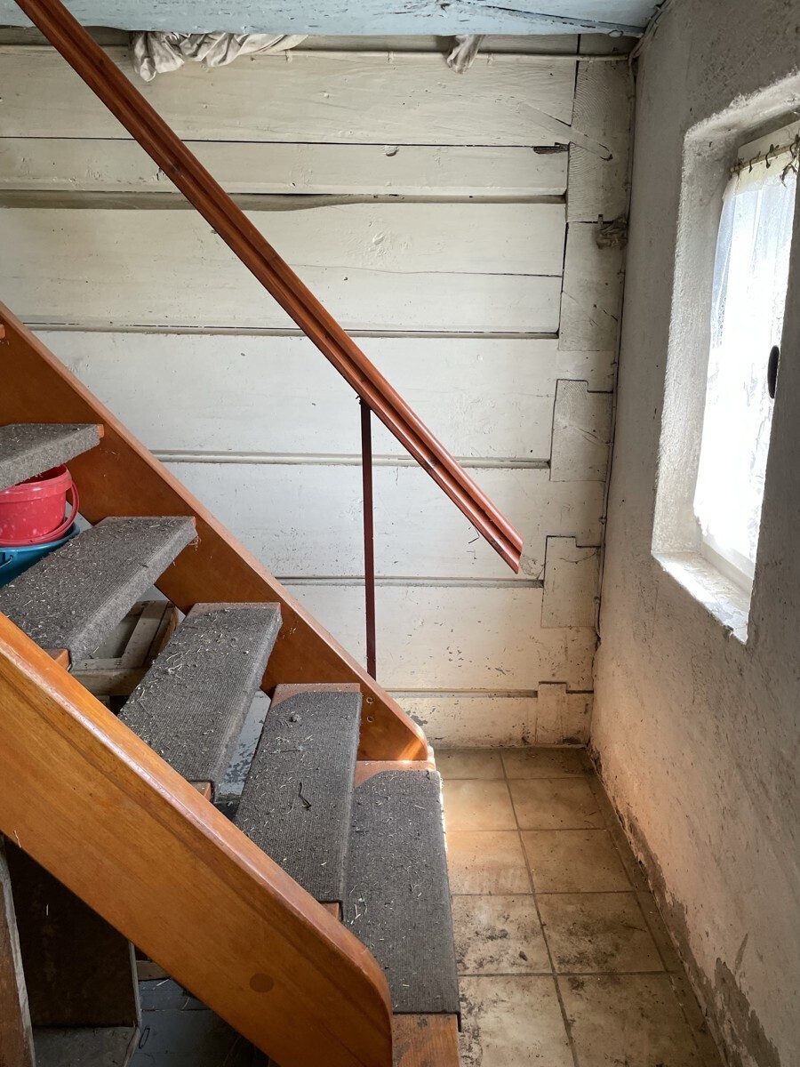 IMG_8