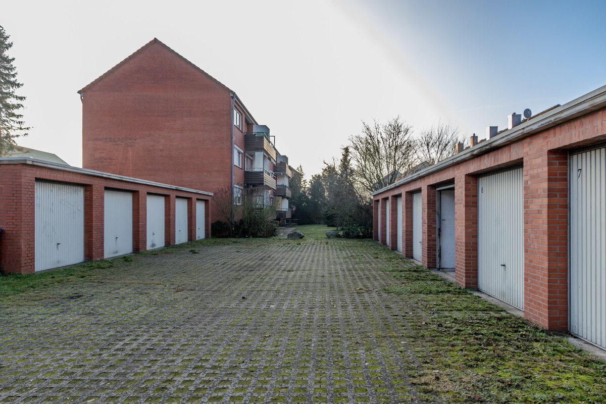 IMG_6814-Enhanced-NR