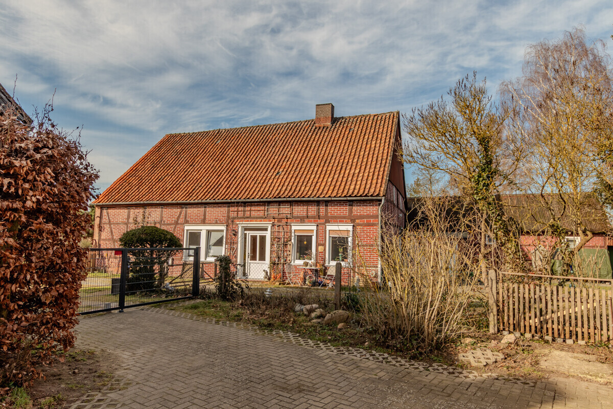 IMG_8387