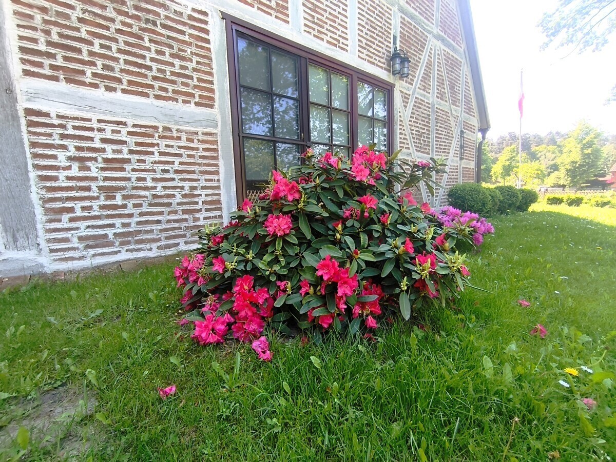 IMG_20260523_115209