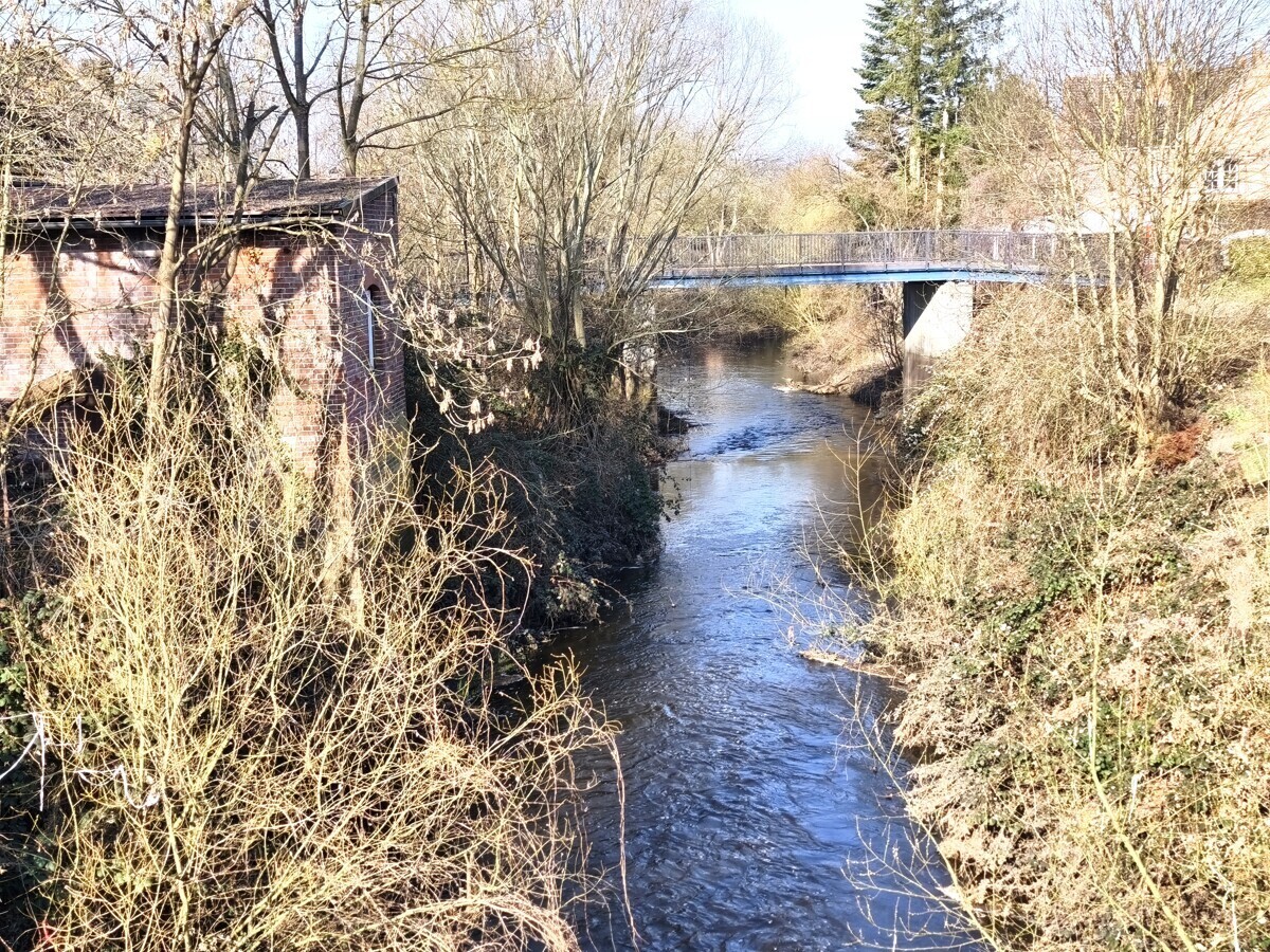 Immobilienbild