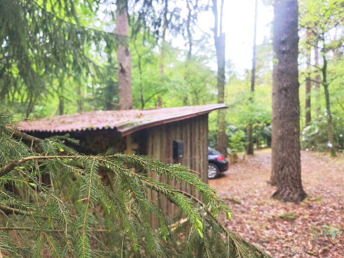Immobilienbild
