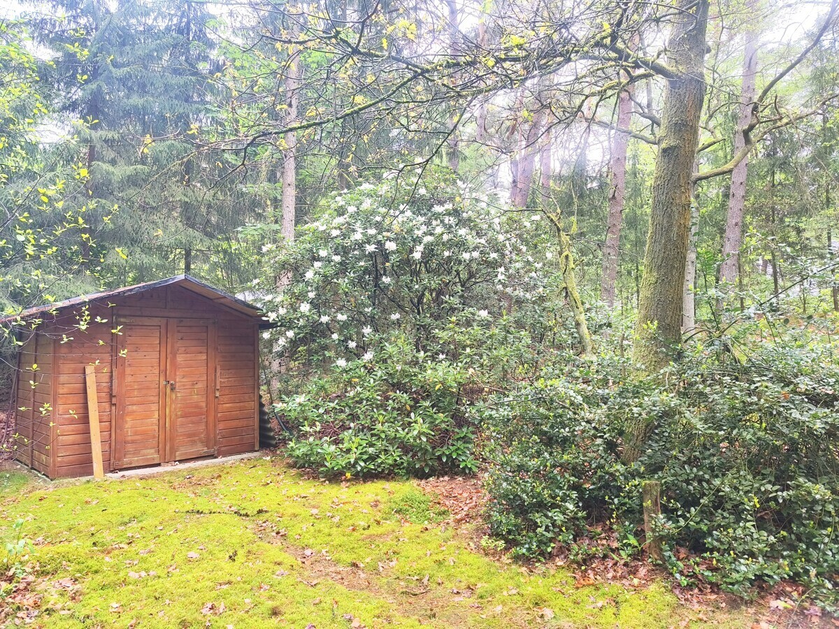 Immobilienbild