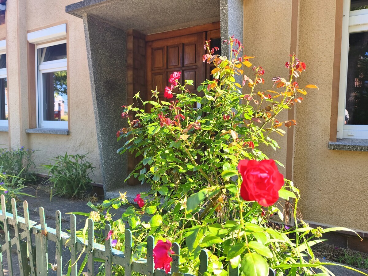 Immobilienbild