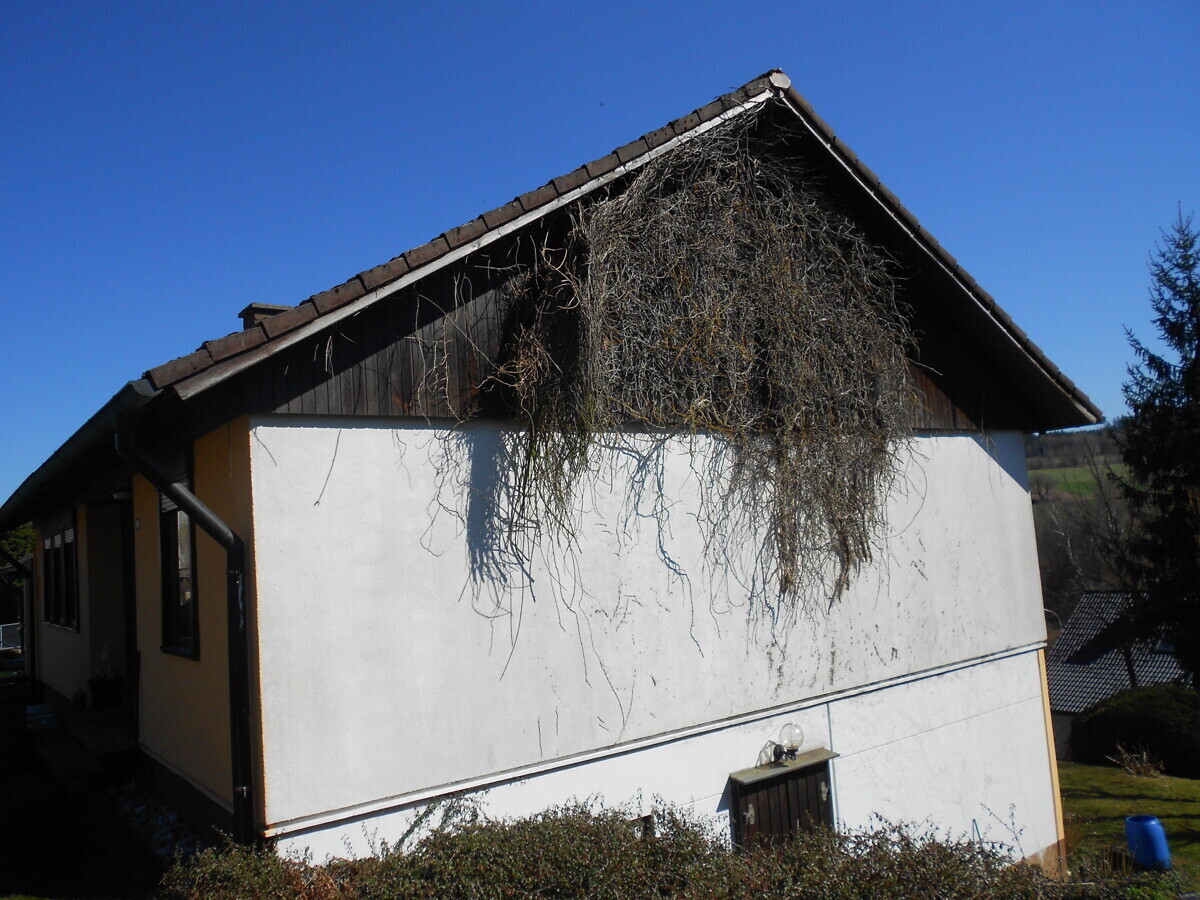 Giebel
