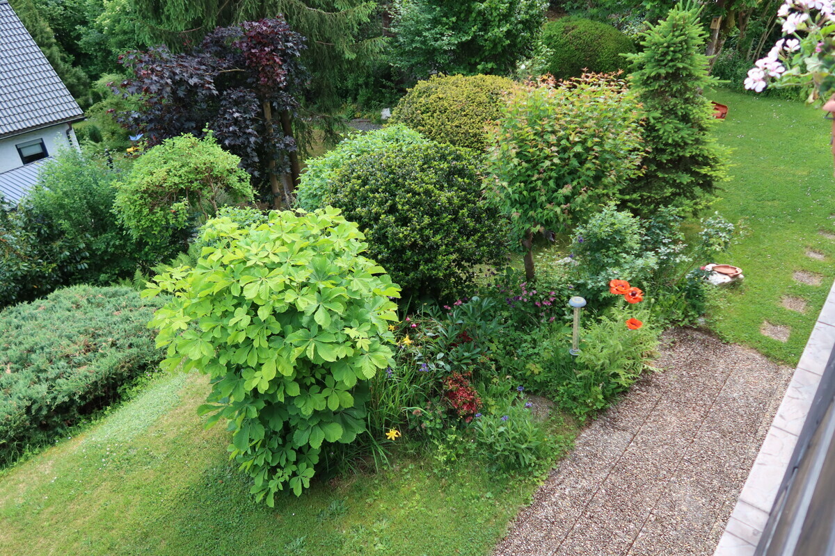 Blick in den Garten